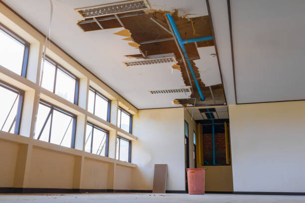 Best Water damage mitigation services  in Three Rivers, OR