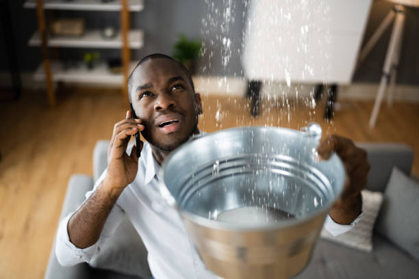 Best Sewage cleanup and water damage restoration  in Three Rivers, OR