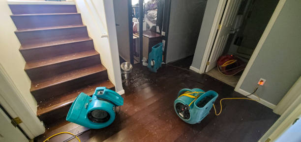 Best Water damage contractors near me  in Three Rivers, OR