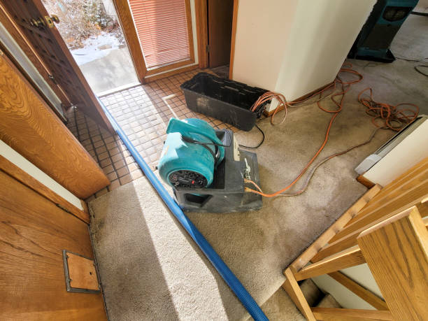 Best Flood restoration services  in Three Rivers, OR
