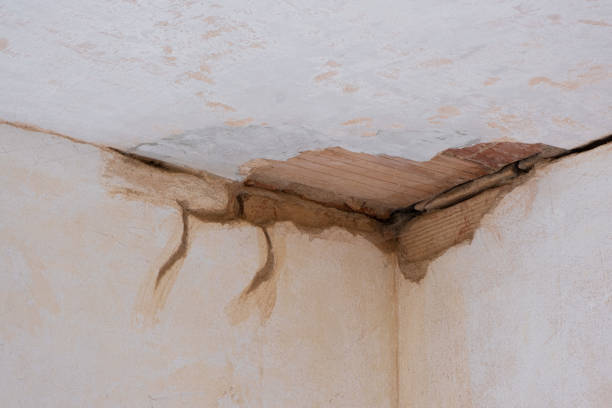 Best Flood restoration services  in Three Rivers, OR