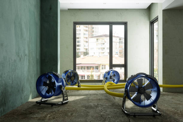 Best Flood restoration services  in Three Rivers, OR