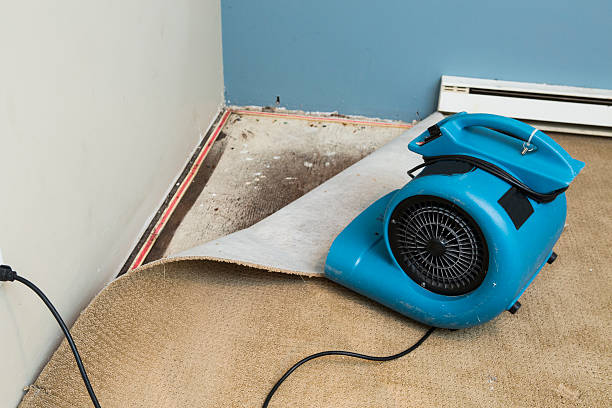 Best Flood damage cleanup  in Three Rivers, OR